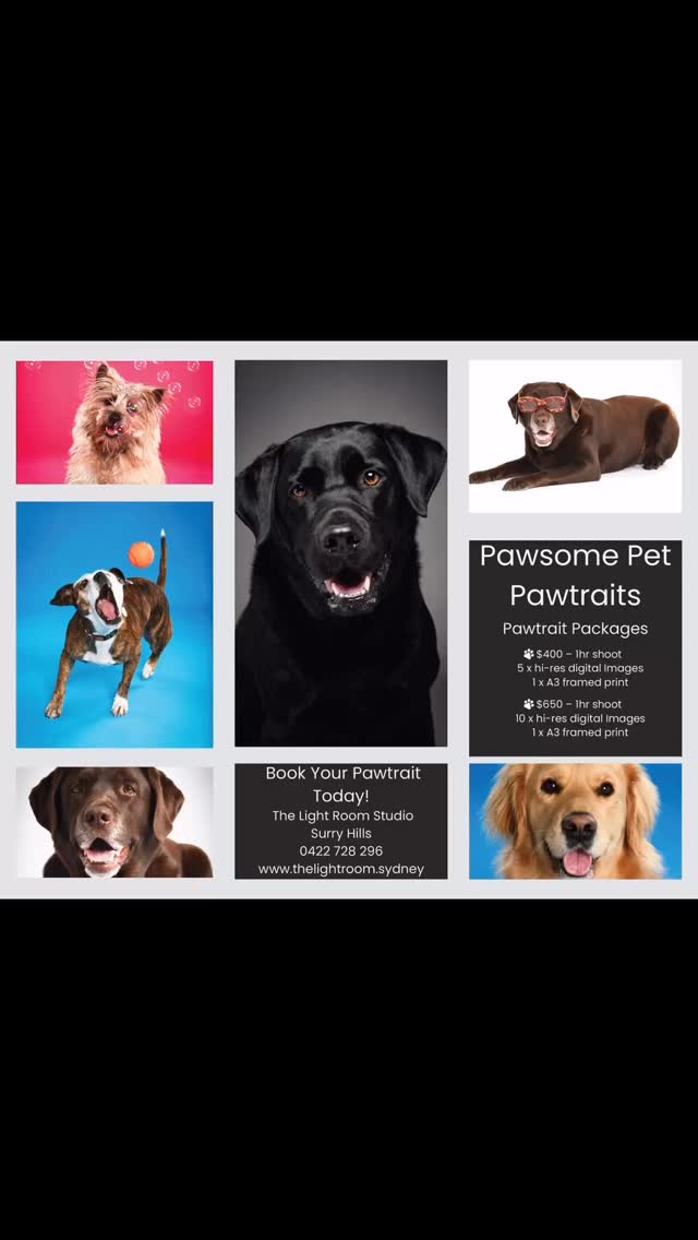 #petportraits #petportrait