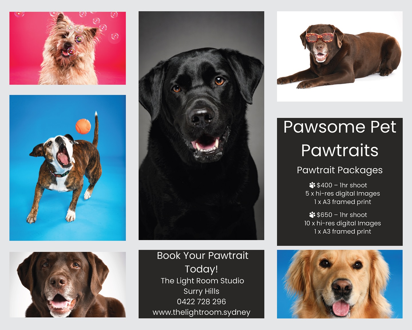 Capture the spirit of your best friend with a Pet Pawtrait. The perfect gift for someone you love or just treat yourself!
Call for more information.