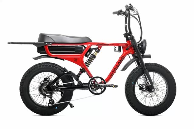 Roses are red……and so are these great bikes from Movebikes in Surry Hills! #studiophotography